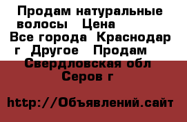 Продам натуральные волосы › Цена ­ 3 000 - Все города, Краснодар г. Другое » Продам   . Свердловская обл.,Серов г.